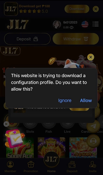 Step 3: Please click on "Allow" on the notification!